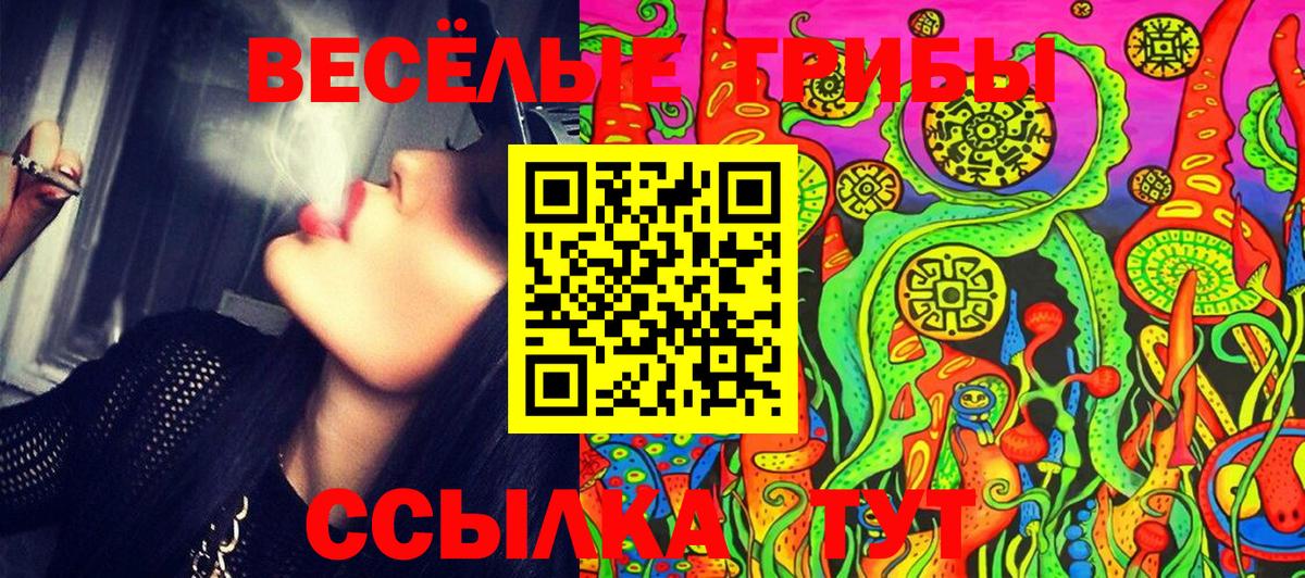 Галлюциногенные грибы Cubensis  Вход с VPN  Гусь-Хрустальный 